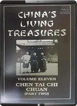 GEORGE XU - CHINA'S LIVING TREASURES - CHEN TAI CHI PART 02