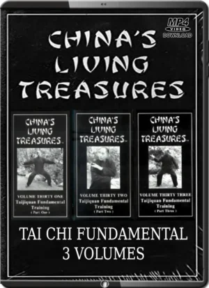 GEORGE XU - CHINA'S LIVING TREASURES - TAI CHI FUNDAMENTAL TRAINING