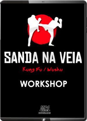 KUNG FU / WUSHU - SANDA NA VEIA WORKSHOP