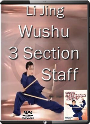 LI JING - WUSHU 3 SECTION STAFF