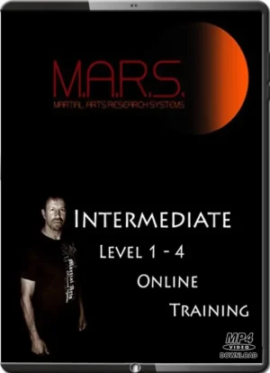 RON BALICKI - FMA KALI INTERMEDIATE COURSE LEVEL 01-04 SYLLABUS