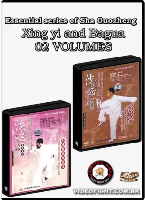 ESSENTIAL SERIES OF SHA GUOZHENG XING YI AND BAGUA