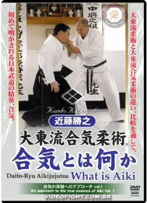 DAITO RYU AIKI JUJUTSU - WHATS IS AIKI ?