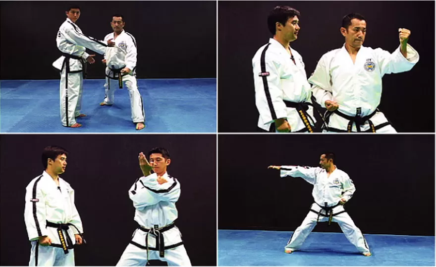 Taekwon-do ITF TUL  (3)