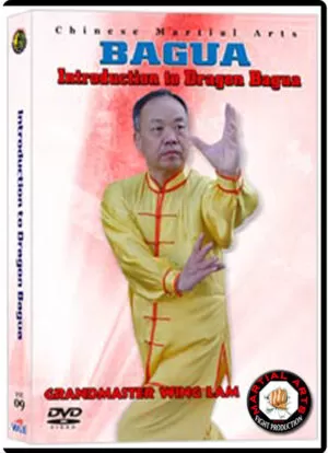 THE FUNDAMENTALS OF DRAGON BAGUA