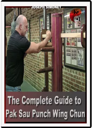 JOSEPH SIMONET - THE COMPLETE GUIDE TO PAK SAU PUNCH WING CHUN