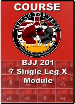 BJJ ISLAND TOP TEAM - 201 SINGLE LEG MODULE