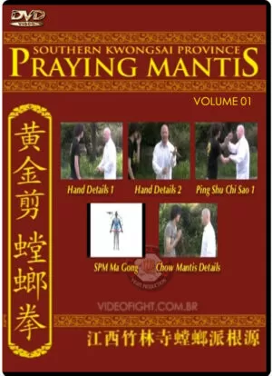 TYLER REA - SOUTHERN KWONGSAI PROVINCE PRAYING MANTIS #01