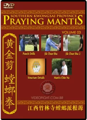 TYLER REA - SOUTHERN KWONGSAI PROVINCE PRAYING MANTIS #03