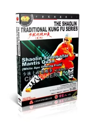 SHI DEJUN - THE SHAOLIN TRADITIONAL KUNG FU SERIES #01