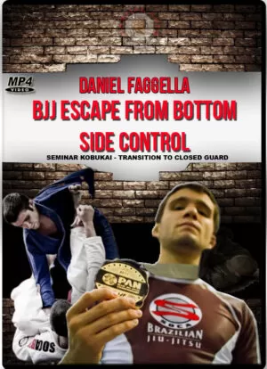 DANIEL FAGGELLA - SEMINAR KOBUKAI
