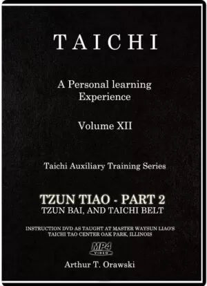 ARTHUR T. ORAWSKI - TAICHI AUXILIARY TRAINING SERIES #12