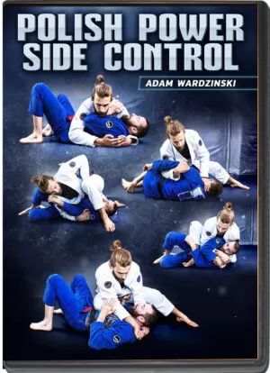 ADAM WARDZINSKI - POLISH POWER SIDE CONTROL