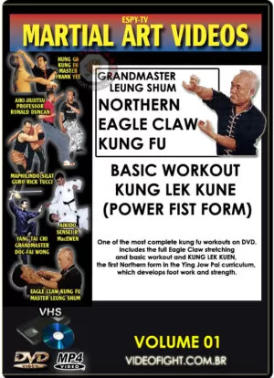 SIFU LEUNG SHUM - EAGLE CLAW KUNG FU #01