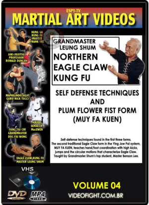 SIFU LEUNG SHUM - EAGLE CLAW KUNG FU #04