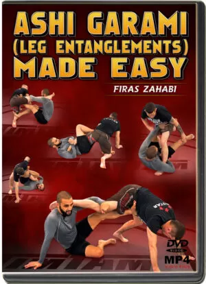 FIRAS ZAHABI - ASHI GARAMI MADE EASY