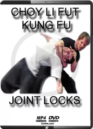 NIEL WILLCOTT - CHOY LI FUT KUNG FU - JOINT LOCKS