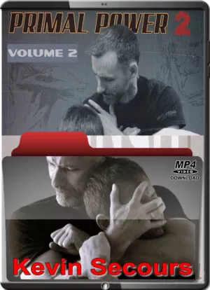 KEVIN SECOURS - SYSTEMA - PRIMAL POWER 2 VOL.02