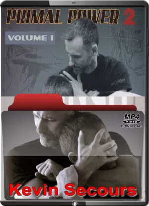 KEVIN SECOURS - SYSTEMA - PRIMAL POWER 2 VOL.01